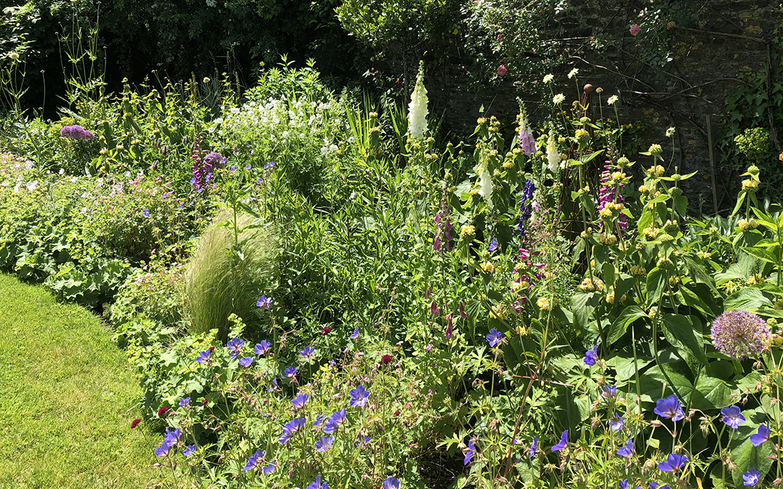 In early summer in Charlotte’s own garden the wide herbaceous borders are full of English country garden classics such as roses, clematis and alliums, with foxgloves and phlomis providing both vertical interest and a feast for pollinating insects.