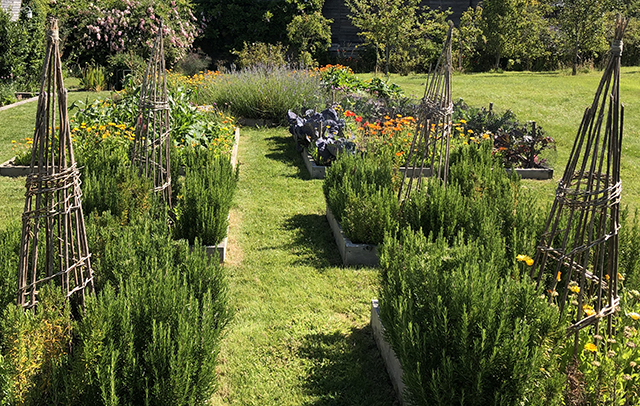 The English Potager Garden - The Sustainable Garden